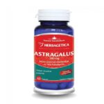 Astragalus - 60 capsule - Herbagetica