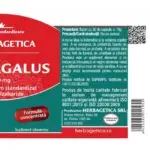 Astragalus - 30 capsule - Herbagetica - imagine 3