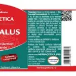 Astragalus - 60 capsule - Herbagetica - imagine 3