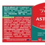 Astragalus - 60 capsule - Herbagetica - imagine 2