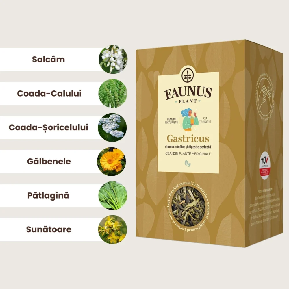 Gastricus  - Ceai Stomac Sanatos - 90 g - Faunus - imagine 3