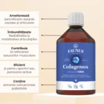 Colagenus Articulații Forte - 500 ml - Faunus - imagine 4