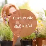 Gastricus  - Ceai Stomac Sanatos - 90 g - Faunus - imagine 7