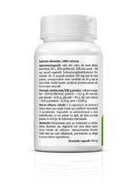 Apple Cider Vinegar Text 01 1