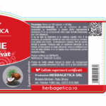 Cărbune Medicinal Activat - 120 capsule - Herbagetica - imagine 2