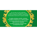 Sunătoare, ceai la plic - Fares - imagine 4