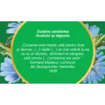 Cicoare, iarbă, ceai la pungă - Fares - imagine 3