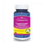 Coama Leului - 60 capsule - Herbagetica