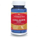 Collagen Artro - 60 capsule - Herbagetica