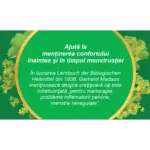 Crețișoară, iarbă, ceai la pungă - Fares - imagine 3