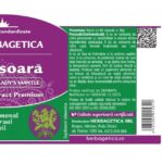 Cretisoara Lady's Mantle- 60 capsule - Herbagetica - imagine 3