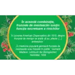 Diurosept U62 4