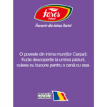 Ceai cu Fructele Carpaților, ceai la plic - Fares - imagine 4