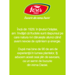 Ceai cu ghimbir și lămâi verzi, ceai la plic - Fares - imagine 5