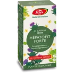 Hepatofit Forte D100 Capsule 5