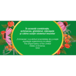 Imunitate, ceai la plic - Fares - imagine 4