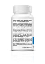 L Theanine Text 01 2