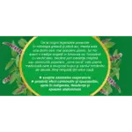 Mentă, ceai la plic - Fares - imagine 3