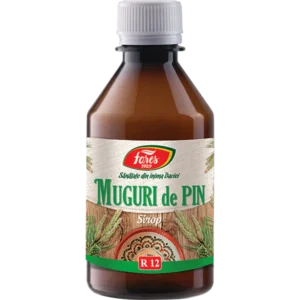 Muguri De Pin R12 Sirop