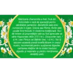 Musetel Punga 4