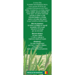 Obligeană, rădăcină, ceai la pungă - Fares - imagine 3