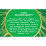 Obligeană, rădăcină, ceai la pungă - Fares - imagine 4