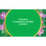 Pufuliță cu flori mici, iarba, ceai la pungă - Fares - imagine 3