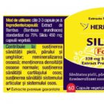 Siliciu Forte - 60 capsule - Herbagetica - imagine 2