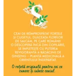 Simtire Ceai La Plic 3