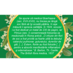 Soc, flori, ceai la pungă - Fares - imagine 2