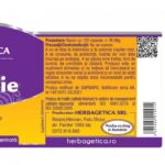 Super Memorie - 120 capsule - Herbagetica - imagine 3