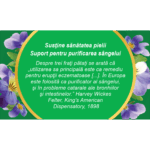 Trei frați pătați, iarbă, ceai la pungă - Fares - imagine 3