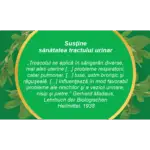 Troscot, iarbă, ceai la pungă - Fares - imagine 3