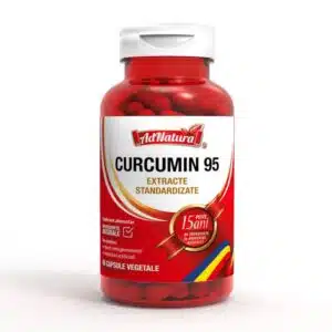 Curcumin 95 60 1 1