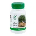 Mastic Gum 60 Cps8392527