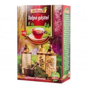 Talpa Gastei Punga 1